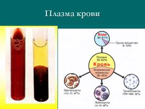 Плазма мед. Рисунок состава плазмы крови человека. Что такое плазма крови как вырабатывается. Плазма в человеческой крови. Прозрачная плазма крови.