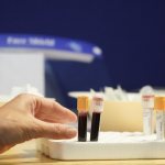 analysis, blood, test