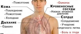-анемии-1-e1455947056635.jpg