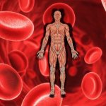 Anemia or &quot;anemia&quot;. Diagnosis and treatment 