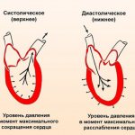 артериальное давление
