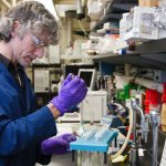 Biochemical blood test - Summer