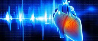 Thanks to special cells and its own electrical conduction system, the heart works in a certain rhythm and sequence