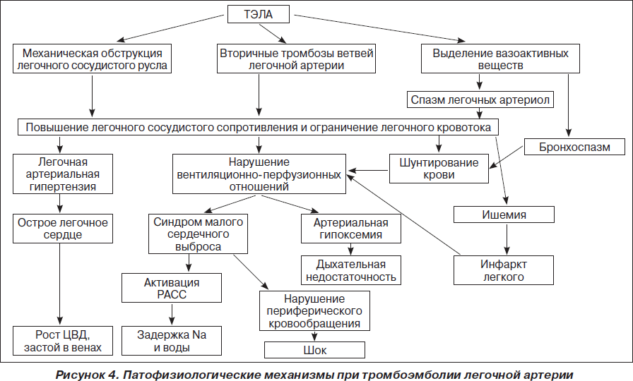 Механизм формирования хбп при сд схема