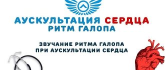 Что представляют из себя ритм перепела и галопа