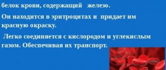 Что такое гемоглобин