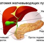 дискинезия желчевыводящих путей.jpg