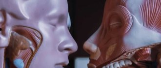 Two anatomical skeletons facing each other