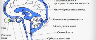 Движение ликвора в головном мозге