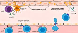 Effector T cell emigration