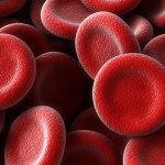 Red blood cells