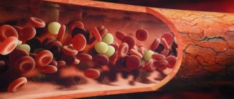 Red blood cells in human blood