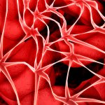 фибриноген норма