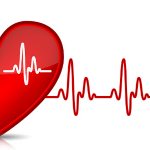 Physiology of increased heart rate