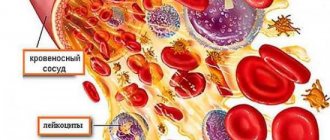 Formed elements of blood