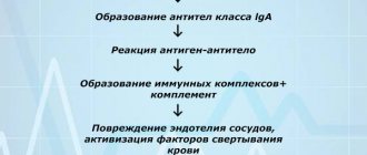 Геморрагический васкулит