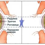 Eye drops for diabetics - list of the best