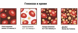 глюкоза в крови.jpg