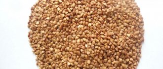 Buckwheat