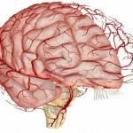 Illustration: multiurok.ru