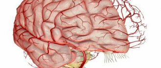Иллюстрация: multiurok.ru