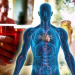 Changes in the heart muscle - Verimed Clinic