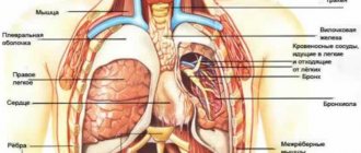 Image 2: Chest pain - Family Doctor clinic
