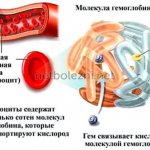 How the substance works