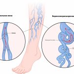 картинка 1.jpg