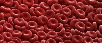 Red blood cells