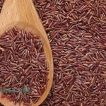 Red rice