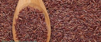 Red rice
