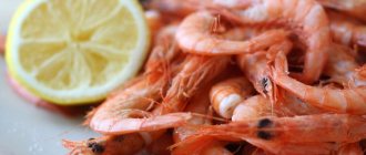Shrimps. Benefits and harms, calorie content, how to cook correctly, how much to consume for a man, woman, pregnant woman