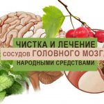 Treatment of vascular diseases, Cleansing of blood vessels