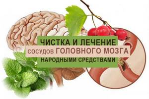 Травы для чистки сосудов головного мозга - список полезных сборов