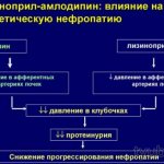 Механизм действия препарата