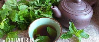Мятный чай от давления