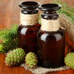 Vodka tincture of pine cones