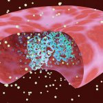 Hemoglobin norm in women and men