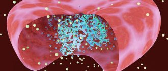 Hemoglobin norm in women and men