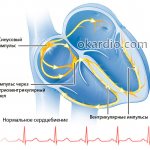 normal impulse formation