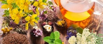 Basic herbs and plants for the Monastic collection