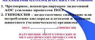 Патогенетические механизмы патологических состояний