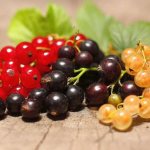 Плоды смородины