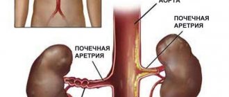 почечная гипертония
