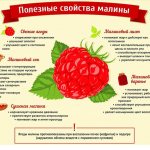 Useful properties of raspberries