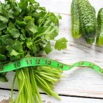 The concept of insulin and its functions