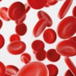 Elevated red blood cells in the blood: causes of changes