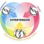 Causes of hypertension