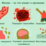 causes of increased iron in the blood